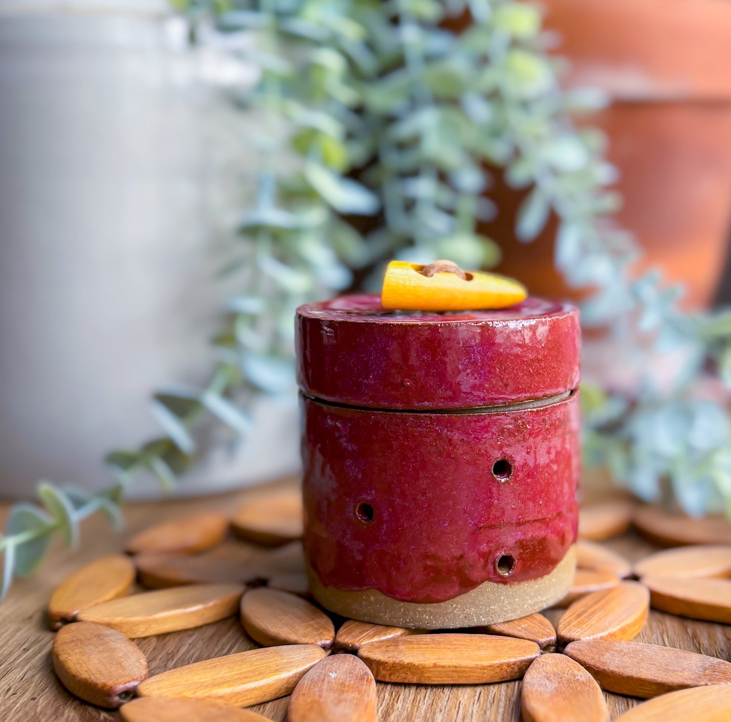 Sangria Garlic Keeper