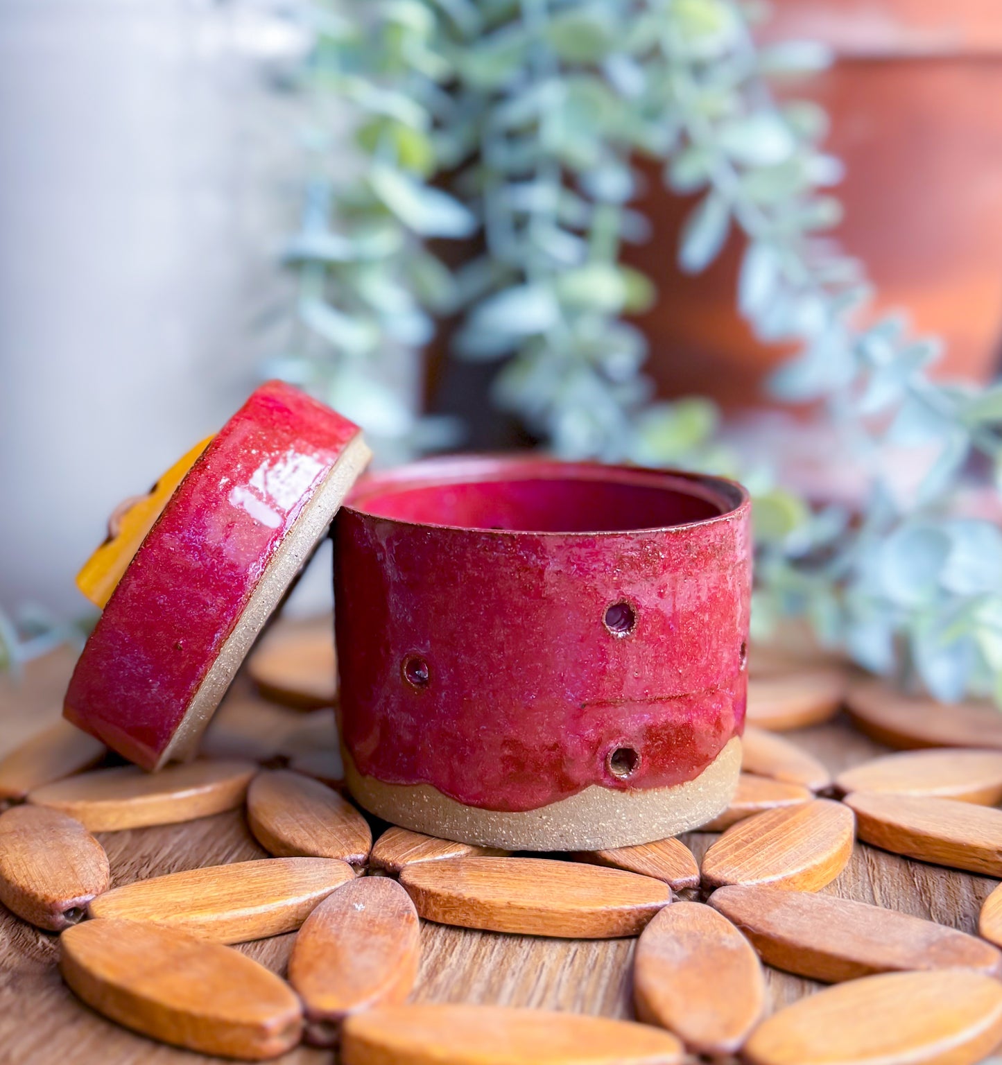 Sangria Garlic Keeper