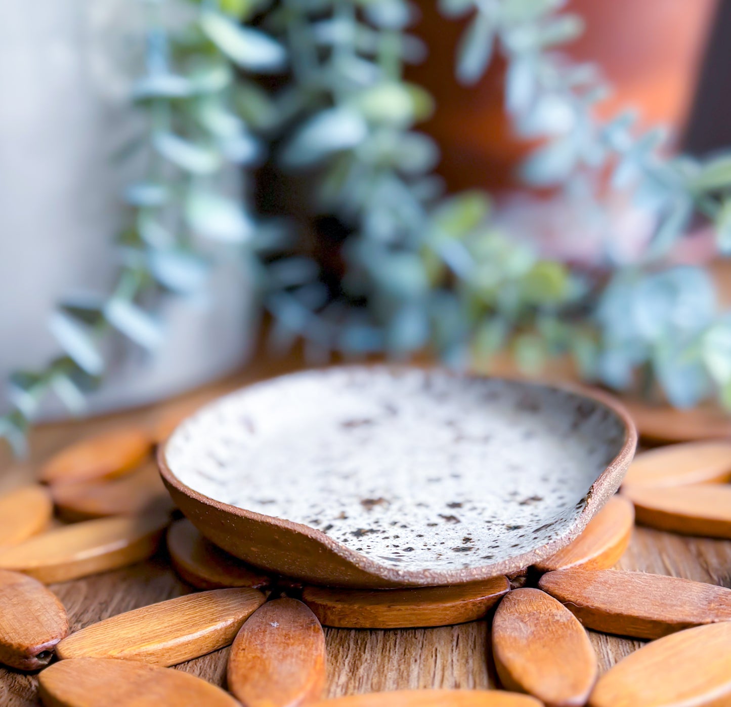 White Birch Spoon Rest