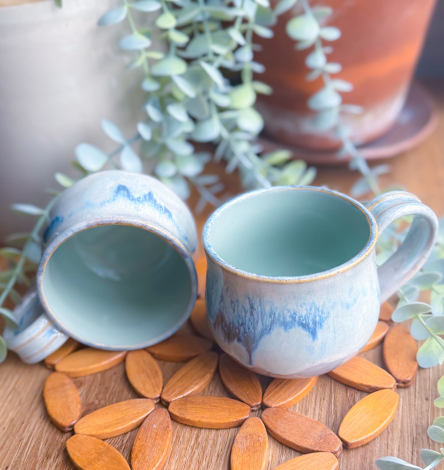 Earth's Layers Coffee Mugs